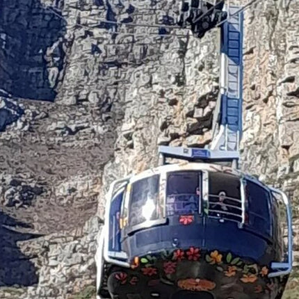 Robben Island, Table Mountain, Wine Tasting at Groot Constantia
