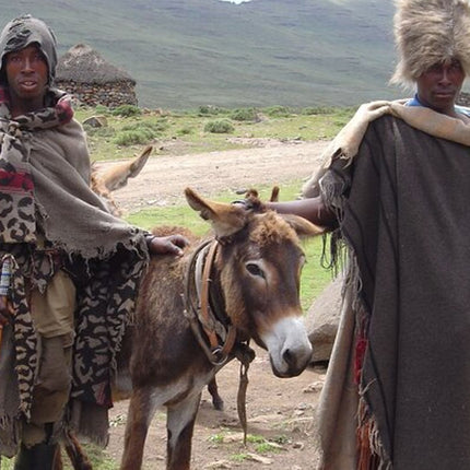 Sani Pass Day Tour from Durban