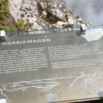 Cape Town and Cape of Good Hope Private Full-Day Tour