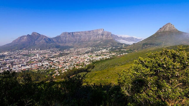 Full Day Cape Town Sightseeing