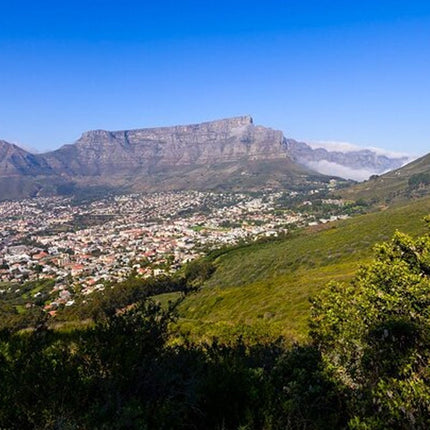 Cape Town Half-Day Sightseeing in Cape Town