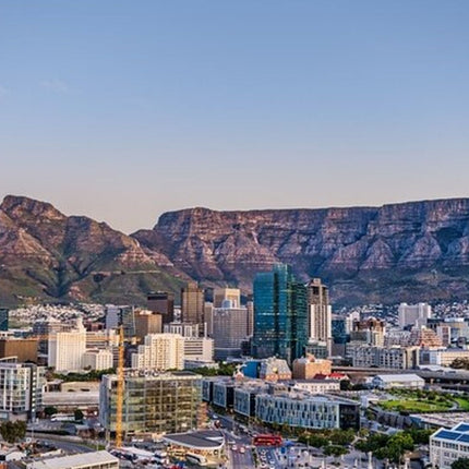 Cape Town Half-Day Sightseeing in Cape Town