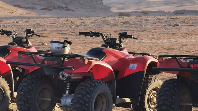 Full Day Aquila Safari Quad Bike on Cape Town Private Tour