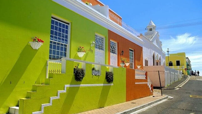 Combo Tour: Marine Wildlife Cruise and City PM