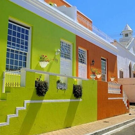 Combo Tour: Marine Wildlife Cruise and City PM