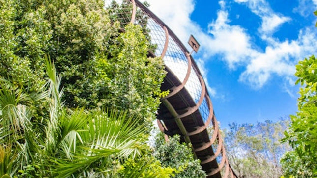 Constantia: Full-Day Wine Tour + Roundtrip Transfer