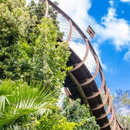 Constantia: Full-Day Wine Tour + Roundtrip Transfer
