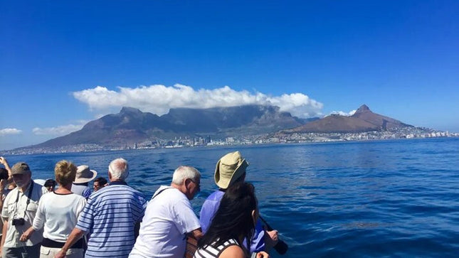 Robben Island ,Kirstenbosch Gardens and Groot Constantia.