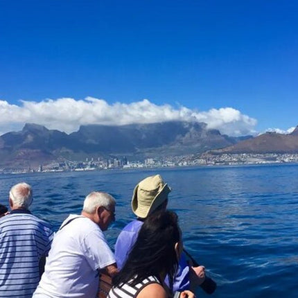 Robben Island ,Kirstenbosch Gardens and Groot Constantia.