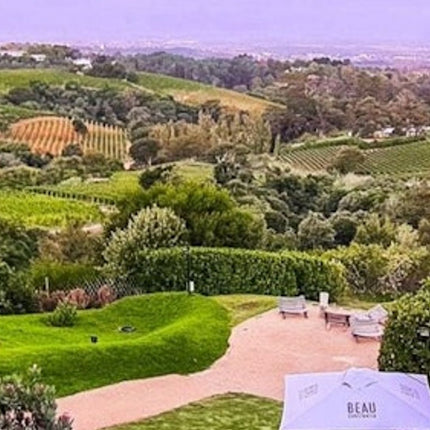 Constantia: Full-Day Wine Tour + Roundtrip Transfer