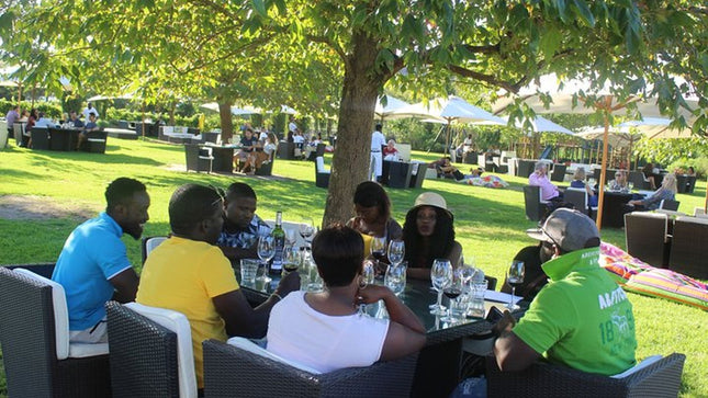Stellenbosch and Franschhoek Wine Regions Tour