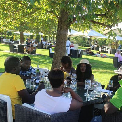 Stellenbosch and Franschhoek Wine Regions Tour