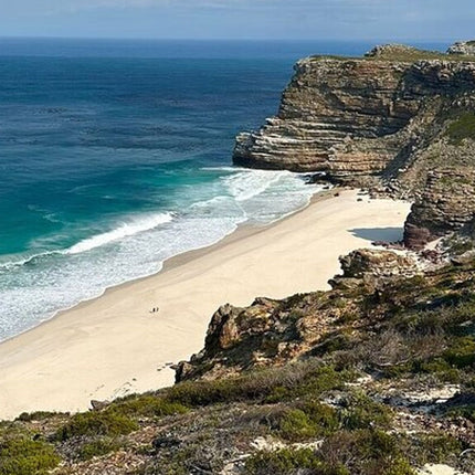 Boulders Penguins in Cape Town full day tour