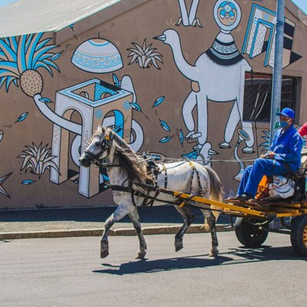Cape Town: Woodstock Street Art & Culture Tour