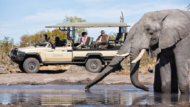 Inverdoorn Private Game Reserve Cape Town Tour