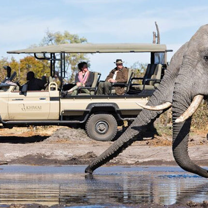Inverdoorn Private Game Reserve Cape Town Tour
