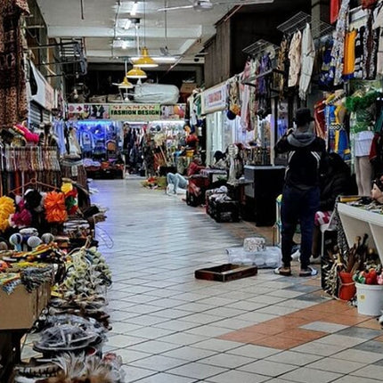 Durban Small-Group City Highlights Tour