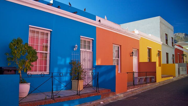 Captivating Cape Town: A Scenic Walking Adventure