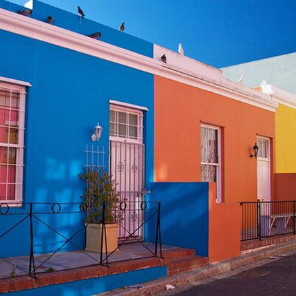 Captivating Cape Town: A Scenic Walking Adventure