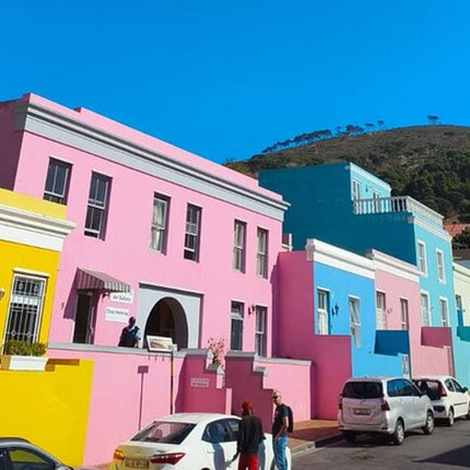 Boulders Penguins in Cape Town full day tour