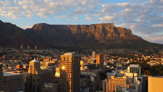 Private Cape Town Wine Tasting with Vineyards and Scenic Views