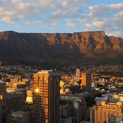 Private Cape Town Wine Tasting with Vineyards and Scenic Views