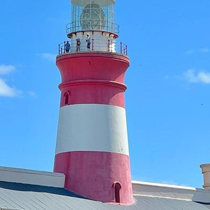 From Cape Town: Cape Agulhas Full Day Tour with Hotel Pick UP