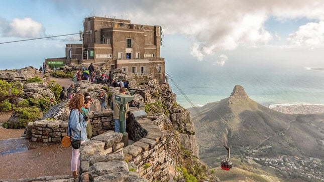 Full Day Constantia Wine Tasting and Table Mountain
