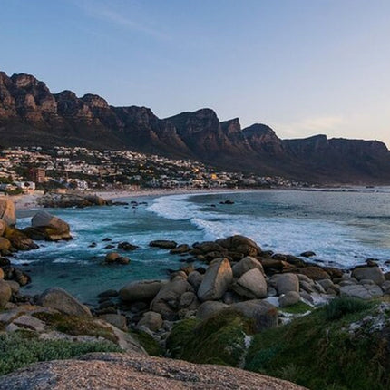 Cape Town Half-Day Sightseeing in Cape Town