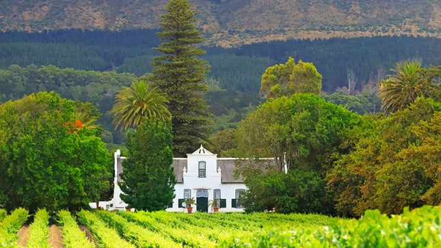 Cape Town Chauffeur Half Day