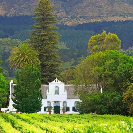 Cape Town Chauffeur Half Day