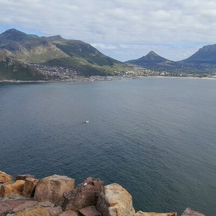 Cape of Good Hope Tour by Bus