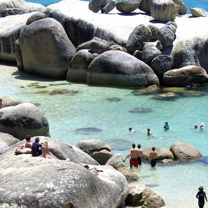 Cape Point Explore with Boulder's Penguins Small Group Day Tour
