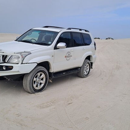 Half-Day Sand Dune Safaris in Cape Town