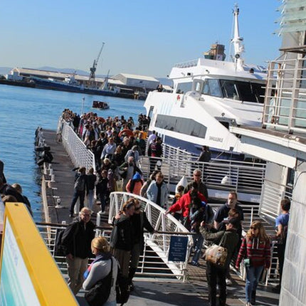 Half Day Experience In Robben Island From Cape Town
