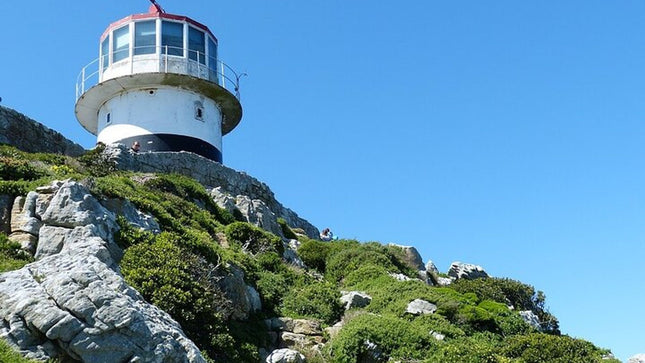Private Tour to Robben Island and Cape Point in Cape Town