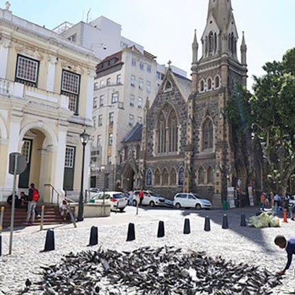 Cape town untold food stories with a local guide