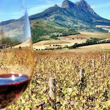 Cape Town: Small-Group Aquila Safari Tour with Wine Tasting