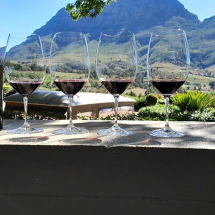 Robben Island, Table Mountain, Wine Tasting at Groot Constantia