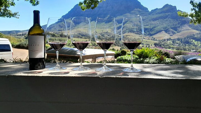 Robben Island, Table Mountain, Wine Tasting at Groot Constantia