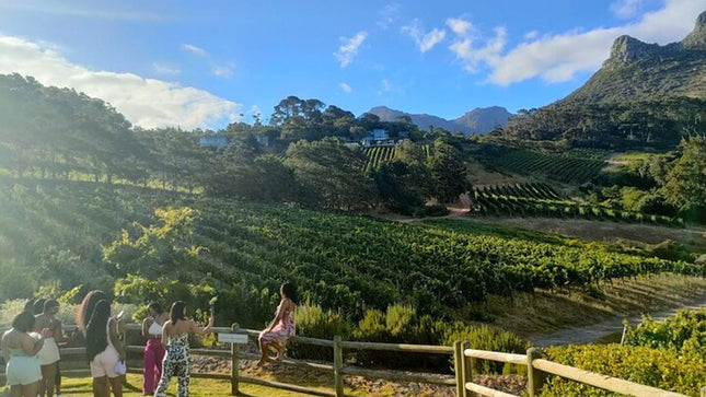 Private Cape Town Wine Tasting with Vineyards and Scenic Views