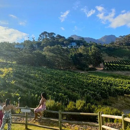 Private Cape Town Wine Tasting with Vineyards and Scenic Views