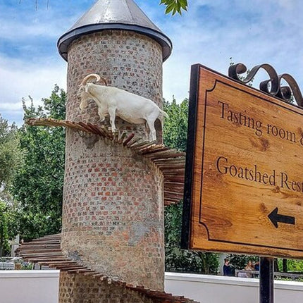 Full Day Winelands Tour With Wine Tasting from Cape Town