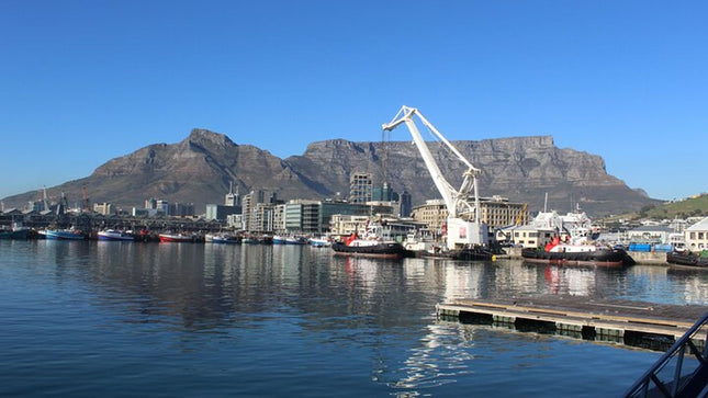 Half Day Experience In Robben Island From Cape Town