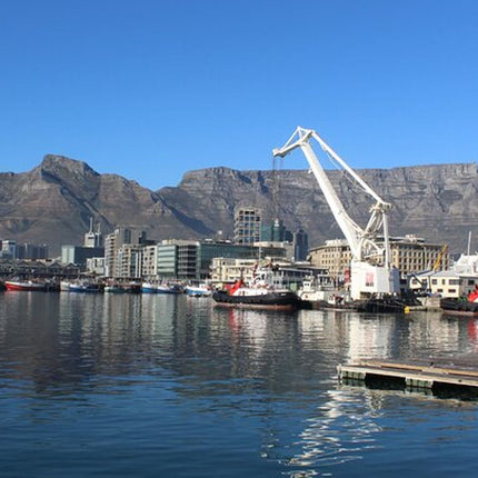 Half Day Experience In Robben Island From Cape Town