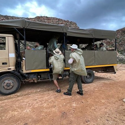 Early Morning Safari Big Five Experience