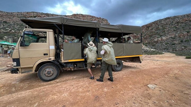 Early Morning Safari Big Five Experience