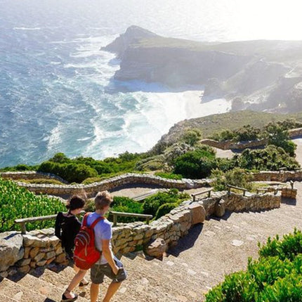 Table Mountain, Cape of Good Hope & Penguins