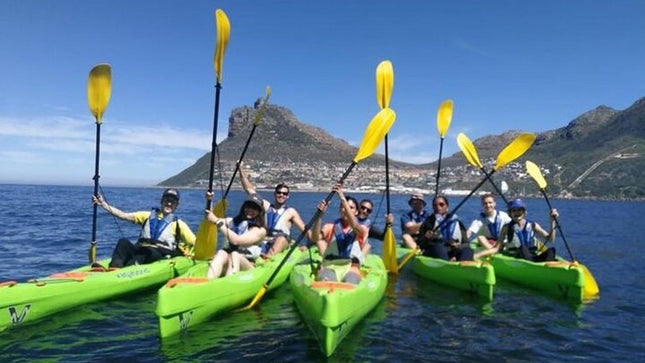 Kayak in Hout Bay