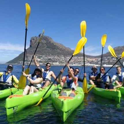 Kayak in Hout Bay